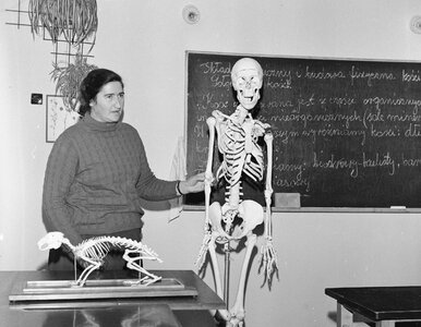 Miniatura: QUIZ. Szkoła w czasach PRL-u. Stawiamy...