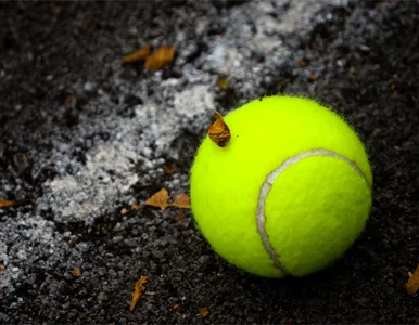 Miniatura: Grajcie w tenisa piłką z gąbki. Będzie...