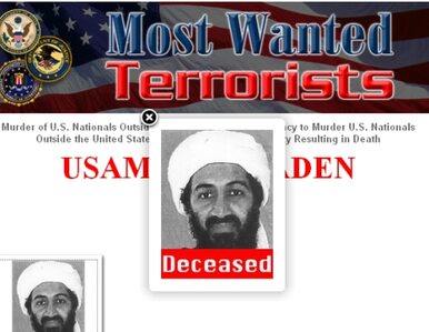 Miniatura: DNA bin Ladena wciąż jest badane....