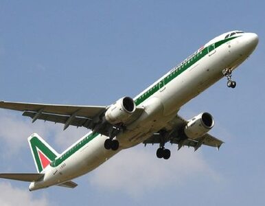 Miniatura: Próbowano porwać samolot Alitalii
