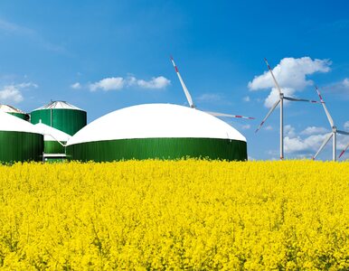Miniatura: Odnawialne źródła energii w rolnictwie....