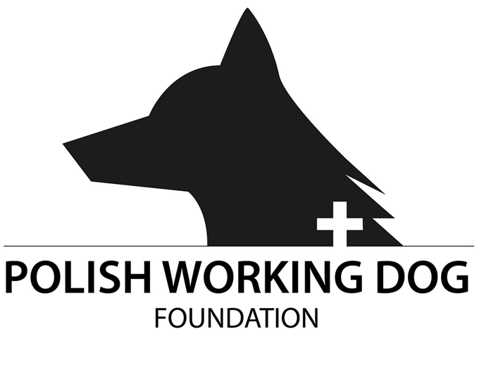 Fundacja PWDF - logo