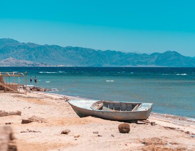 Miniatura: W Egipcie istnieje tzw. plaża śmierci. Po...