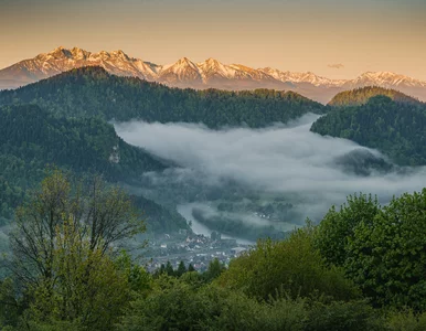 Miniatura: Gdzie wyjechać na wiosnę – czyli o tym, co...