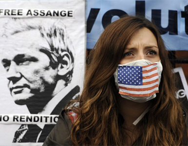 Miniatura: O&#8217;Brien: Julian Assange czyli Wikiazyl
