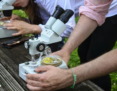 Miniatura: QUIZ z biologii. Uczeń sobie z nim...