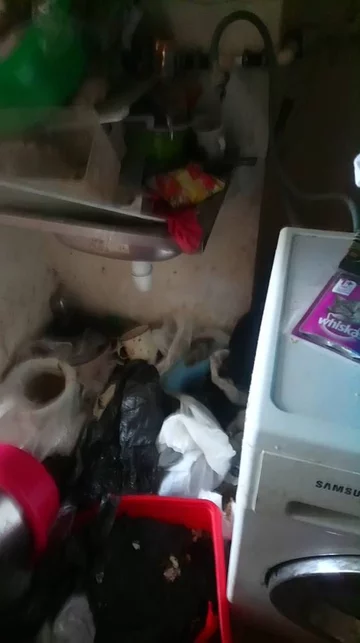 Zaniedbanie mieszkanie, w którym zamknięte było 10 psów 