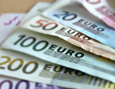 Miniatura: Coraz droższe kredyty w euro. Czy...