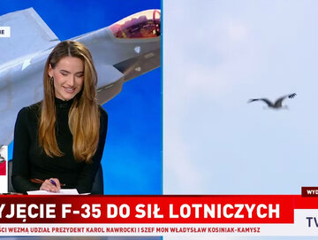 Transmisja w&nbsp;TVP Info