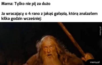 Mem z okazji Dnia Matki 