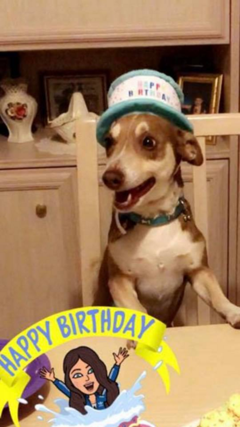 Bailey świętuje urodziny 