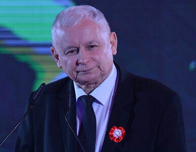 Miniatura: Tymi liczbami Kaczyński na pewno się nie...