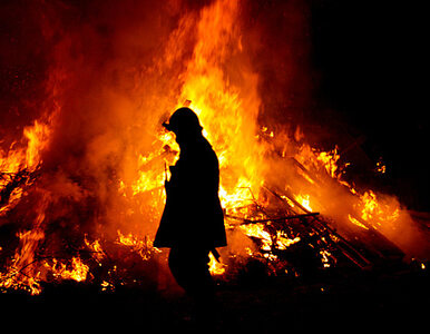 Miniatura: Pożar lasu na Mazowszu. Płonie ok. 70...