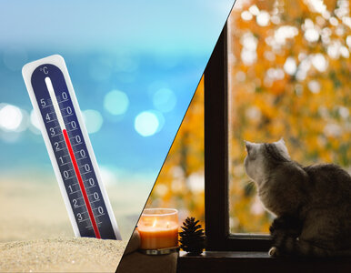 Miniatura: IMGW prognozuje pogodę na drugą połowę...