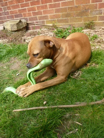 Po operacji stan Bensona szybko się poprawił 