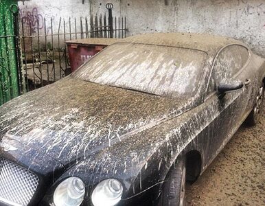 Miniatura: Bentley wart 1 mln zł zalany 7 tonami...