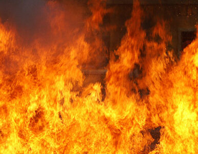 Miniatura: Tragiczny pożar w domu opieki w Sydney....