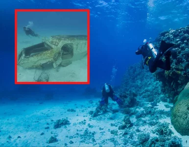 Miniatura: Pierwsze podwodne muzeum powstanie na...