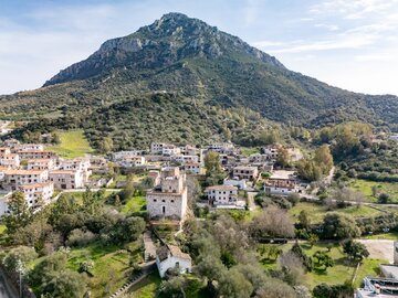 Copia di Galteli