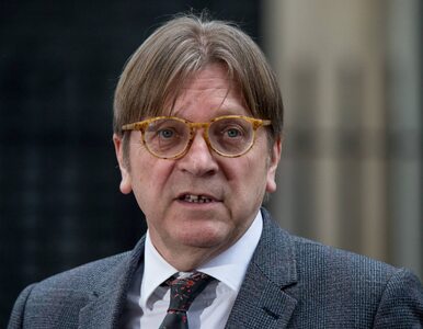 Miniatura: Guy Verhofstadt skrytykował byłego...