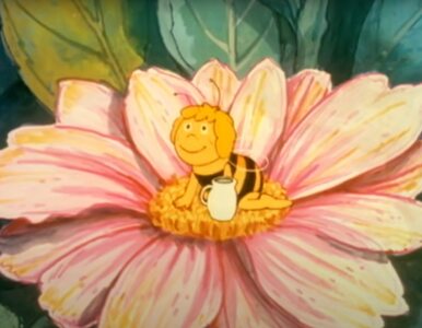 Miniatura: QUIZ z ukochanej „Pszczółki Mai”....