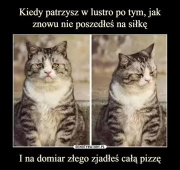 Memy z pizzą w roli głównej 