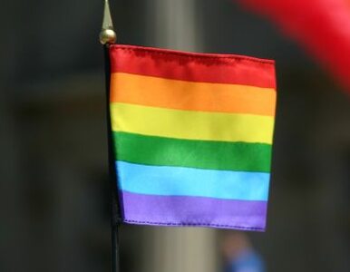 Miniatura: OPZZ: prawa pracownicze gejów i lesbijek...