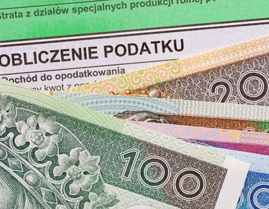 Miniatura: Sejm przegłosował obniżkę podatku dochodowego