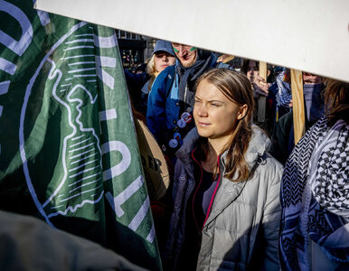 Miniatura: Greta Thunberg przemawiała do tłumu....