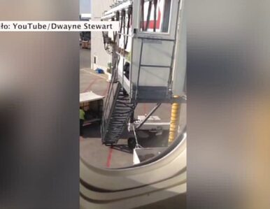 Miniatura: Pracownicy lotniska rzucają walizkami