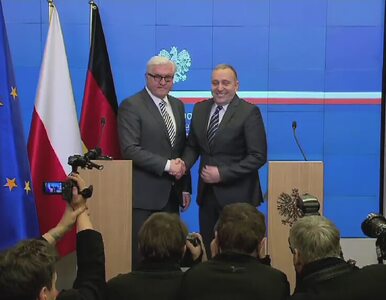 Miniatura: Spotkanie szefów dyplomacji Niemiec i...