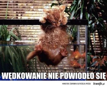 Mem o wędkarstwie Mem o wędkarstwie i rybach
