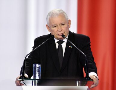 Miniatura: Jarosław Kaczyński wzywa Michała Cieślaka...