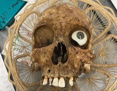 Miniatura: Ludzka czaszka w koszu na darowizny....