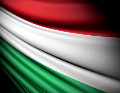 Miniatura: Węgry pod pręgierzem agencji ratingowych