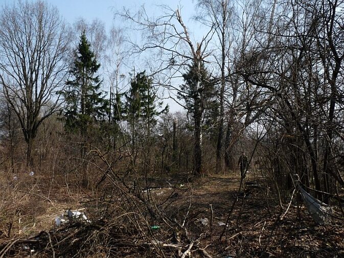 Kolejne drzewa, złamane przez samolot, mat. faktysmolensk.gov.pl