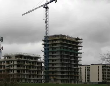 Miniatura: Zapytano deweloperów, o ile więcej płacą...