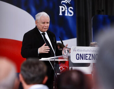 Miniatura: Kaczyński uderza w środowiska LGBT na...