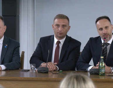 Miniatura: Tego w polskim Sejmie jeszcze nie było....