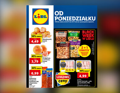 Miniatura: Najnowsza gazetka Lidl już dostępna....