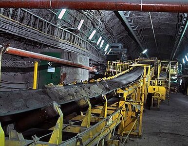 Miniatura: Podziemny wstrząs w kopalni Mysłowice-Wesoła