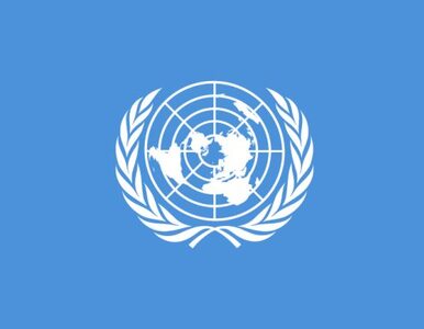 Miniatura: ONZ potwierdziła, że zabito 7 jej pracowników