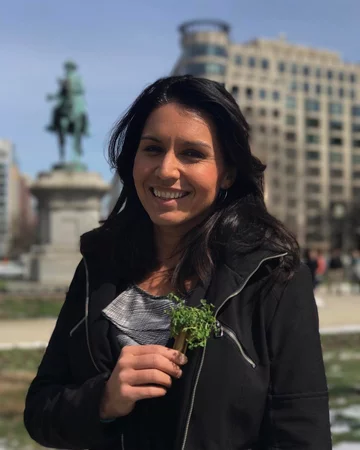 Tulsi Gabbard 