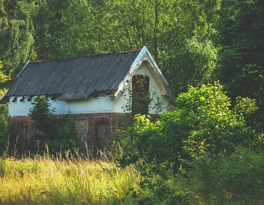 Miniatura: Oblicza zniszczonych wsi. „Old khata...