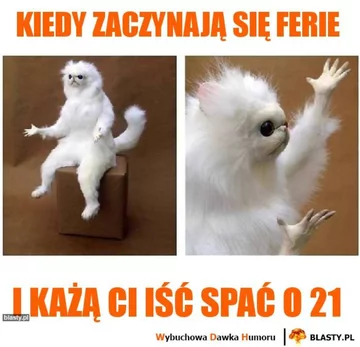 Ferie zimowe 2020 - memy 
