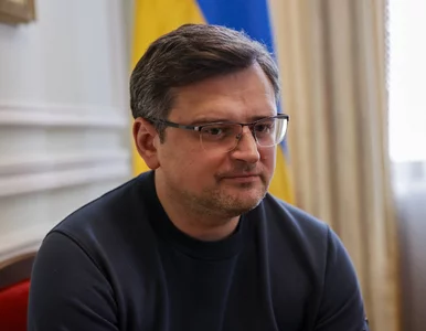 Miniatura: Parlament Ukrainy zdecydował w sprawie...