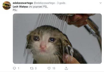 Mem z Lechem Wałęsą 