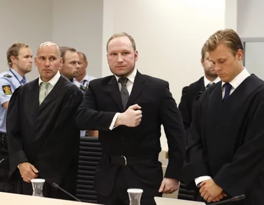 Miniatura: Norwegia ma łagodne prawo? W 2014 roku na...