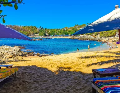 Miniatura: Samolot spadł na plażę. Nie żyje jedna osoba