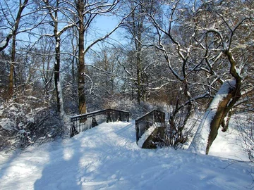 Mostek. Park Skaryszewski fot. Wanda Modzelewska